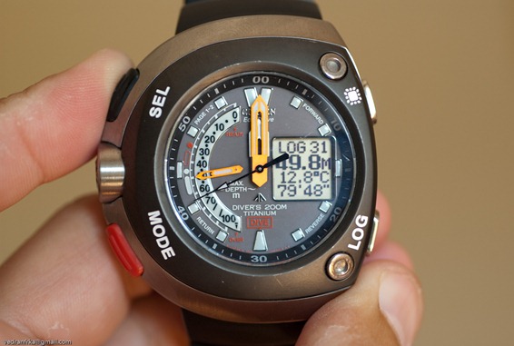 new citizen divers watch